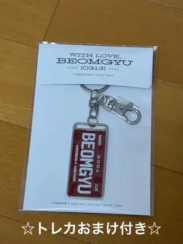 TXT 범규 생일 굿즈 키링 덤 트레이딩 카드 포함