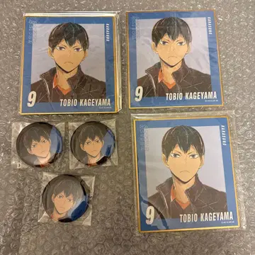 하이큐 Ani-art 미니 색지 캔뱃지 카게야마 토비오