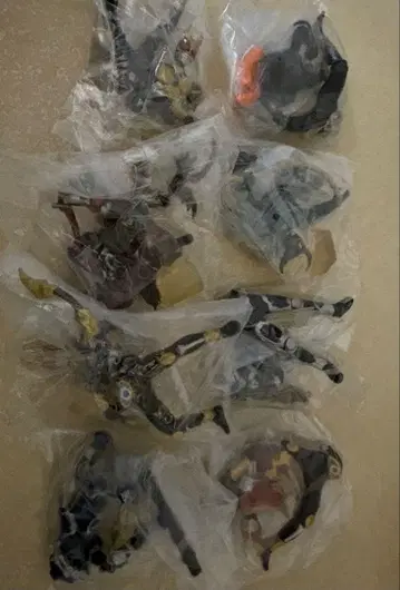 HG 가면라이더 아기토 세트 미개봉