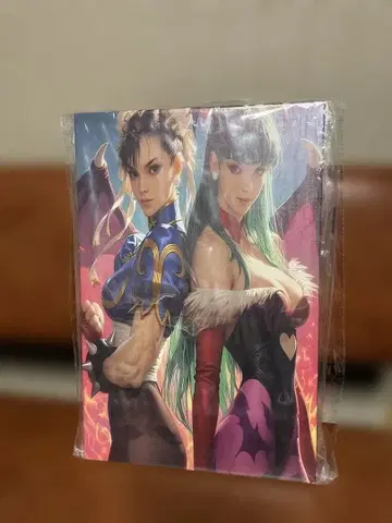 춘리, 모리안, 캔버스 원단 포스터