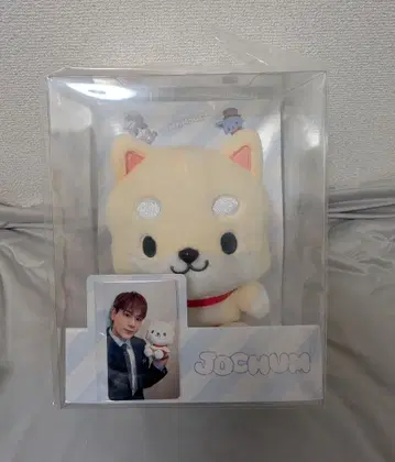 JOCHUM 마메치 봉제 인형 JO1 마메하라 잇세이 트레이딩 카드 포함