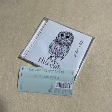 the cabs 회귀하는 호흡