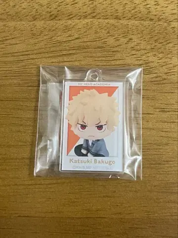 나의 히어로 아카데미아 히로아카 바쿠고 카츠키 룩업 아크릴 키링 특전