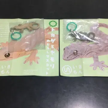 네이처 테크니컬러 도마뱀과 도마뱀 메지루시 마스코트 2개 일본도마뱀