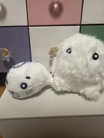 소년 아시베 볼체인 부착 고마짱 봉제 인형 ~예티 등장편~ 2개 세트