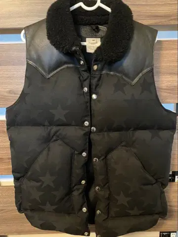 Rocky Mountain 블랙 다운 베스트 38