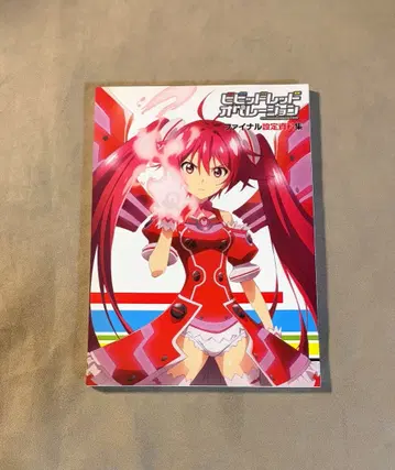 비비드 레드 오퍼레이션 파이널 설정 자료집