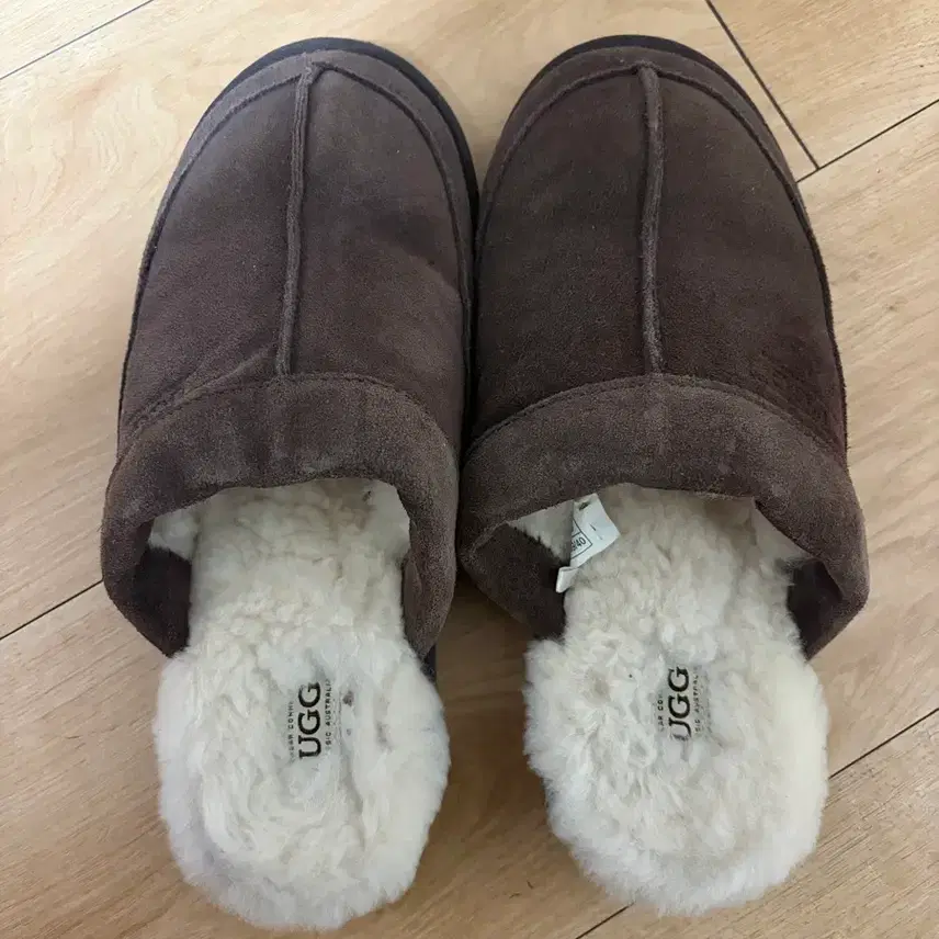 UGG UGG スリッパ 250