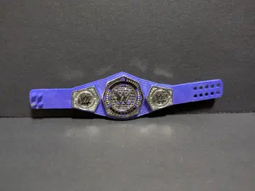 WWE 피규어 프로레슬링 크루저급 왕좌 벨트 마텔제