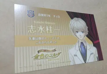 [ 구매 혜택 ] 골드 컬러의 코르다 시미즈 메세카 익명 배송