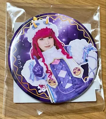 넘버원 전대 고쥬우쟈 부케 마루피 캔뱃지 풀컬러 캔뱃지