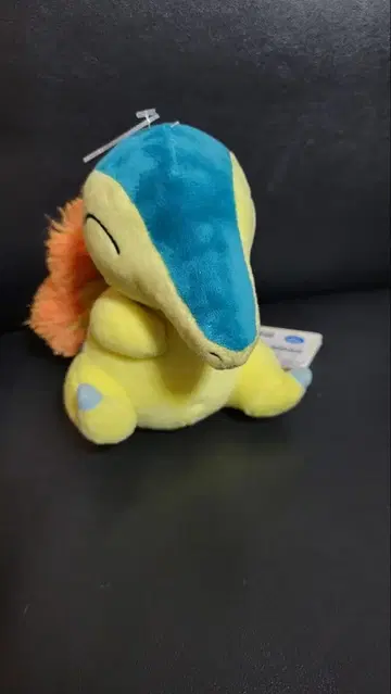Cyndaquil 포켓몬 히노아라시 봉제 인형 택 포함 새상품급