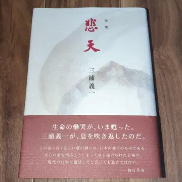 비천 미우라 요시카즈 시집