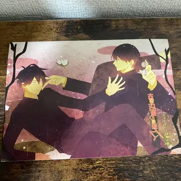 고서점 거리의 하시히메 사마 스텔라 세트 특전 소책자