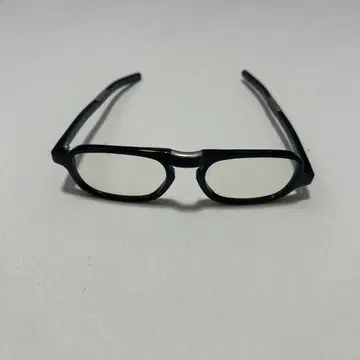 아나토미카 안경