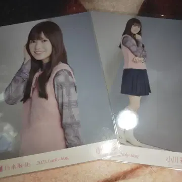 노기자카46 오가와 아야 Lucky bag 달력 의상 브로마이드