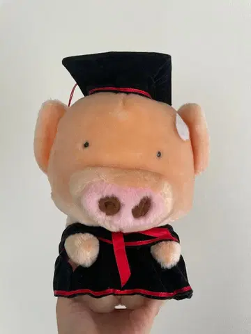 홍콩 애니메이션 돼지 봉제 인형 맥토우 레트로