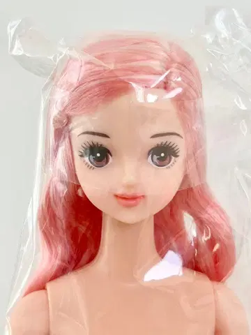 리카짱 캐슬 즐거운 인형 타마키