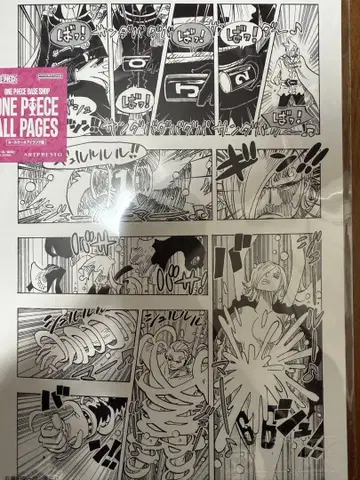 원피스 베이스샵 원화 올 페이지 레이쥬