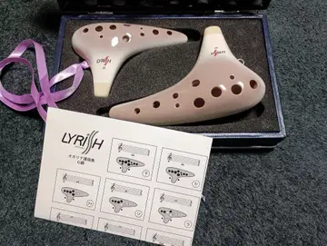 라이리쉬 오카리나 하모닉 SF관 AC관 하드 케이스 세트