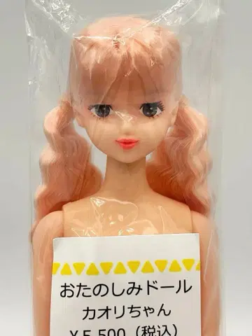 카오리짱 리카짱 캐슬 오타노시미 인형 투테일 제니 프렌드