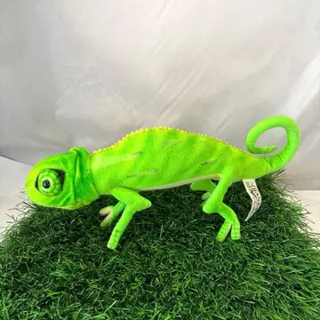 HANSA 한사 카멜레온 그린 파충류 애니멀