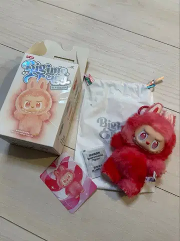 러브브 에너지 러브 labubu bigintoenergy love