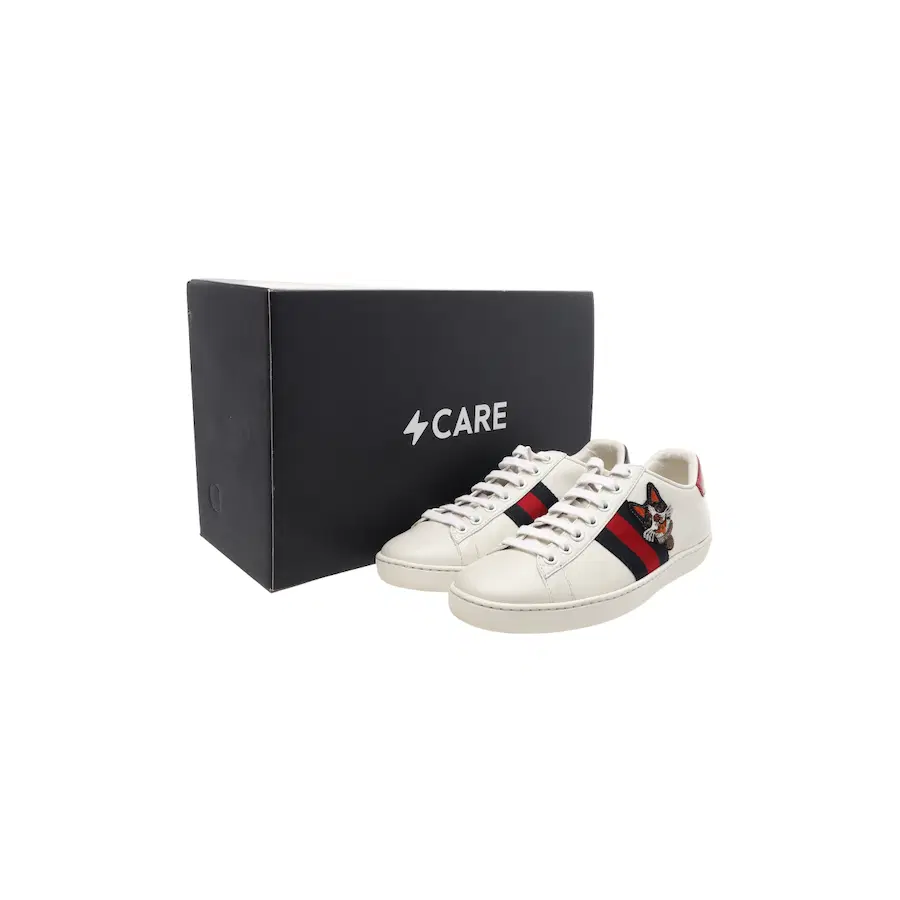 (女款) Gucci Ace 运动鞋 波士顿梗犬