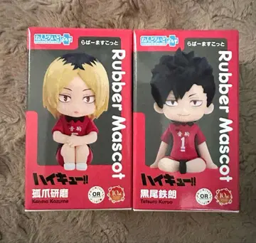 하이큐 넨도로이드 플러스 러버 마스코트 코즈메 쿠로오