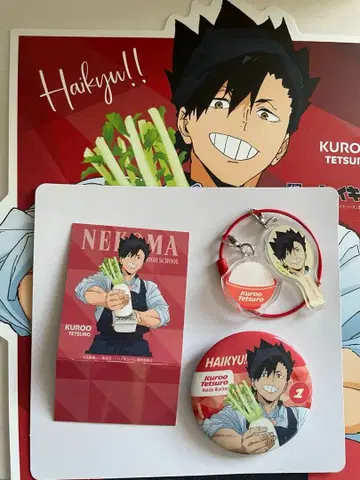 하이큐!! 오토야 쿠로오 테츠로 세트