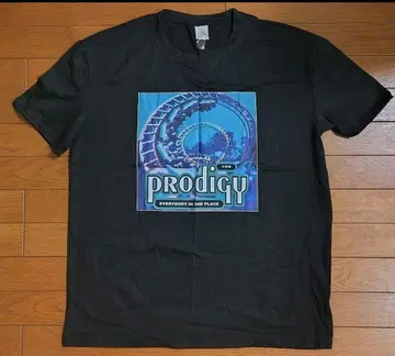 프로디지 prodigy everybody in the place.