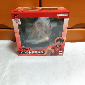 하이큐 피규어 테노히라 쿠로오 쿠로오 테츠로