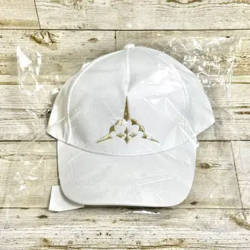 [ 미개봉 새상품 ] Fate FGO 알토리아 캐스터 바사캐스 캡