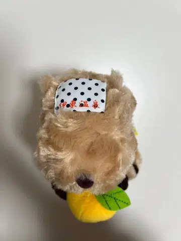 이토 온천 한정판 카피바라 봉제 인형 (유자 버전)