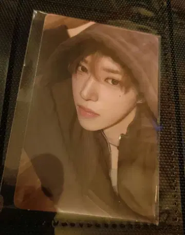 Alpha Drive One 아르노 팝업 한정판 후디 트레이딩 카드