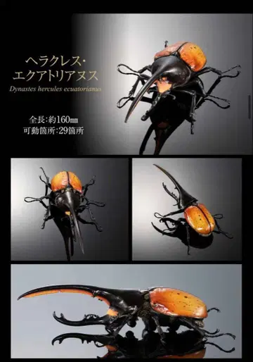 생물대도감 어드밴스 헤라클레스 에콰토리 아누스 온라인판 미개봉 새상품