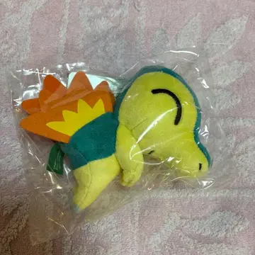 포켓몬 히노아라시 춋코리상 봉제 인형 마스코트 2022년