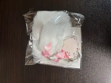 이레이스 5주년 기념 모후메이와 꼬리 참 스시누