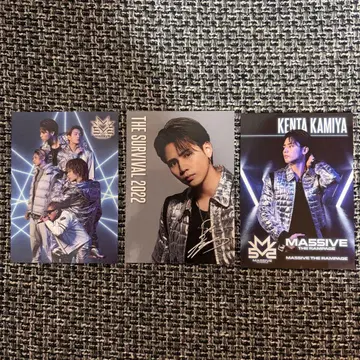 THE SURVIVAL 카미야 켄타 MA55IVE 마시브 포토 카드 세트