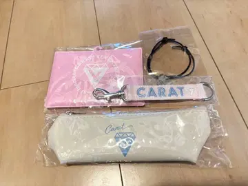 SEVENTEEN 필통 카드 케이스 키링 팔찌