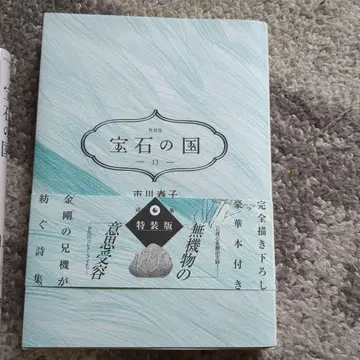 보석의 나라 13권 특장판