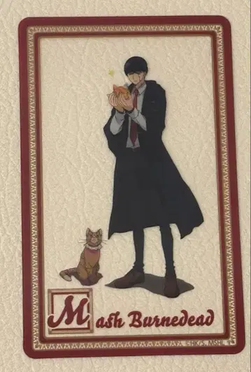 마슐 매쉬 클리어 카드 전신 난자타운