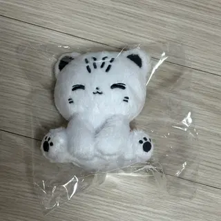 중고거래 플랫폼에 게시된 김건우 관련 굿즈 이미지