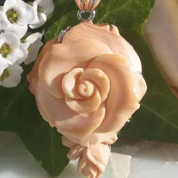 새상품 아카니토 씨 쉘 카메오 펜던트 탑 아름다운 장미