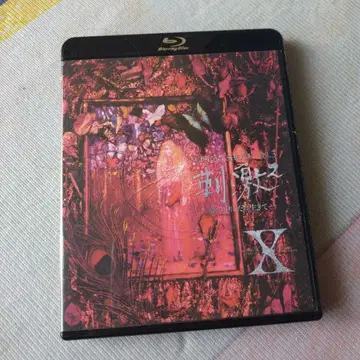 X JAPAN VISUAL SHOCK Vol.3 자극 2