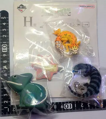 파충류 4종 세트 에보시 카멜레온 레오파 아오지타 도마뱀 도마뱀