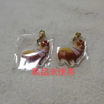 Code:Realize 코도리아 10주년 아크릴 참 시시