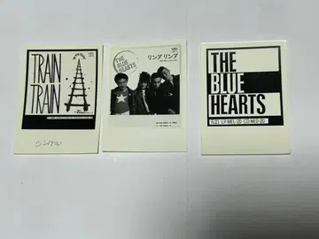 블루하츠 선재 포지 3매 세트