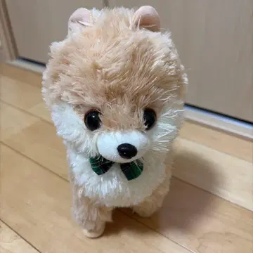 Hug & Touch 응석받이 포메라니안