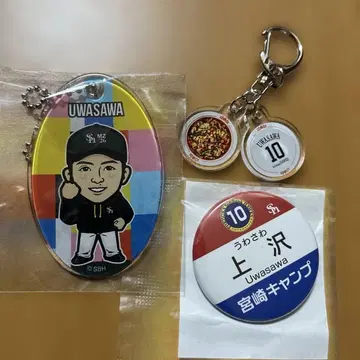 호크스 우와사와 투수